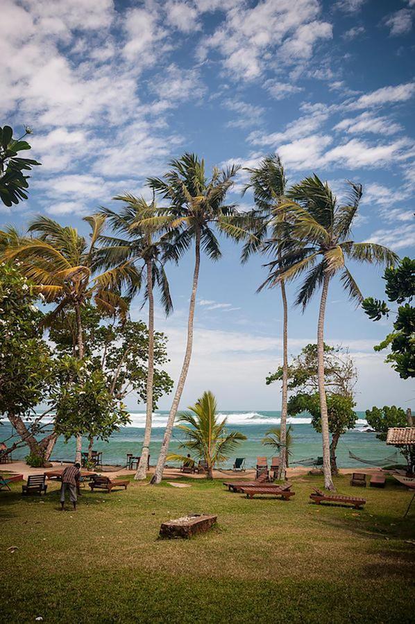 Palm Villa Mirissa Hotel&Spa Exterior foto