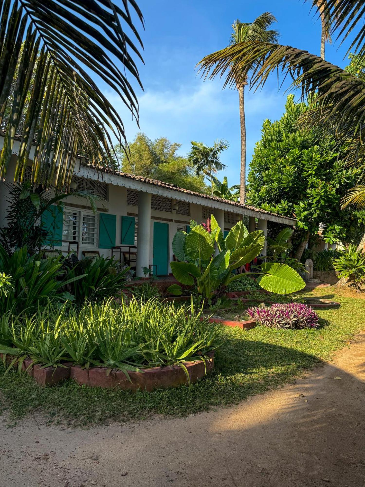 Palm Villa Mirissa Hotel&Spa Exterior foto